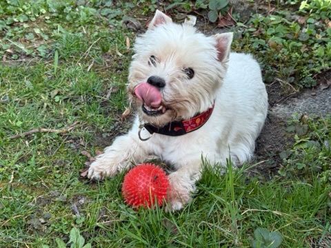 IMG_0942 Mizzi Bärnklau